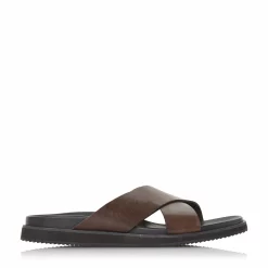 Bertie Bertie IDIOM Sn13