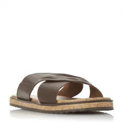 Bertie Bertie IRIC Sn13