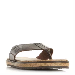 Bertie Bertie ISOLATE Sn13